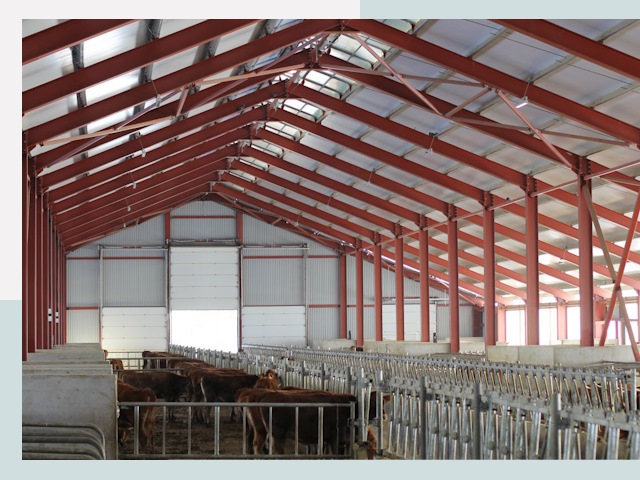 Строительство коровников в Кинешме