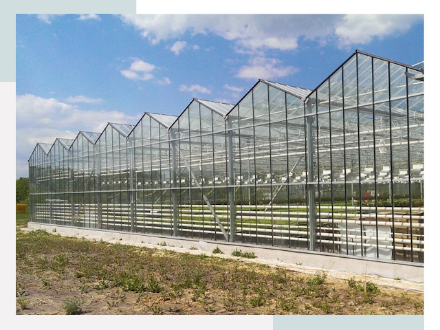 Строительство теплиц в Кинешма от 606 руб. за м²