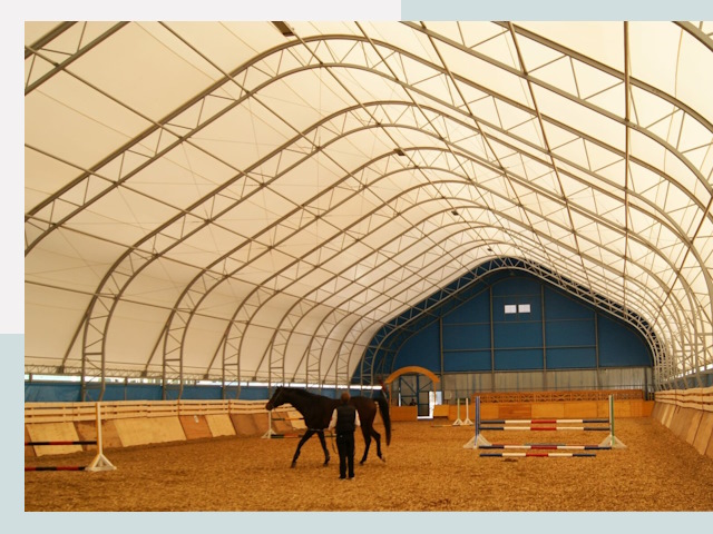 Строительство конных манежей в Кинешме